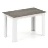 120 cm jedálenský stôl pre 4-6 osôb, drevený obdĺžnikový stôl, veľký jedálenský stôl, moderný kuchynský stôl, biely