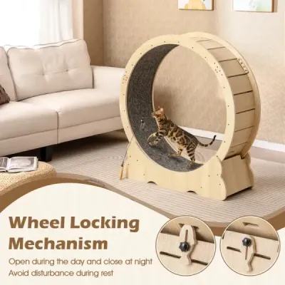 101 cm veľký tréningový pás pre mačky s uzamykateľným mechanizmom, prírodný