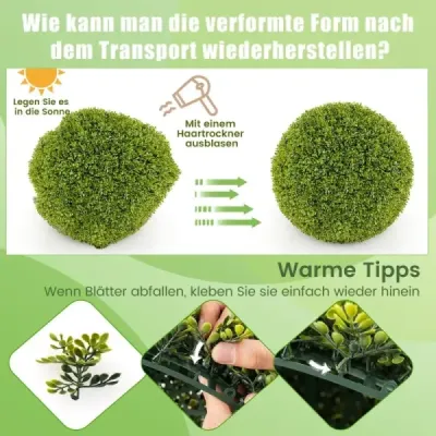 2 gule zo zimostrázu 50 cm guľa zo zimostrázu odolná voči UV žiareniu dekoratívne guľové rastliny pre domácnosť