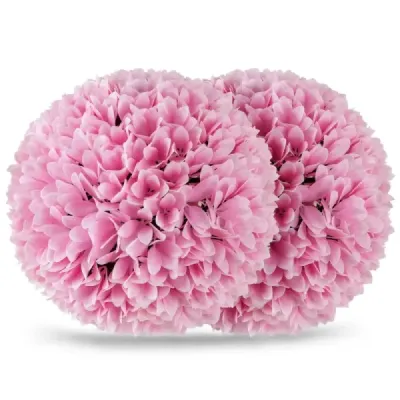 2 gule zo zimostrázu odolné voči UV žiareniu dekoratívne gule topiary umelá rastlina dekoratívna rastlina Ø28 cm ružová