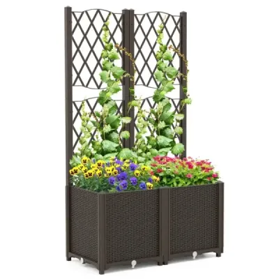 Kvetinový box s mriežkou Box na popínavé rastliny 80 x 40 x 140 cm Káva